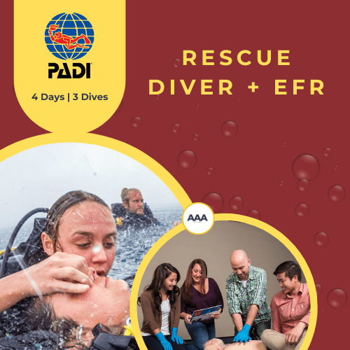 PADI Rescue Diver + EFR