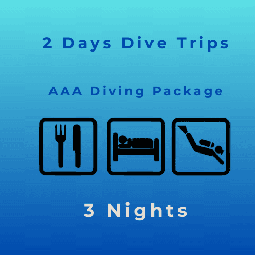 2 Days Diving Trip Package